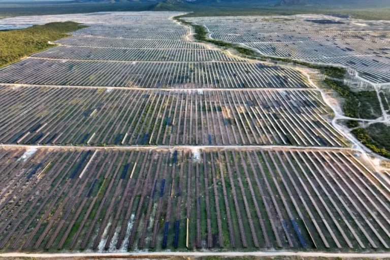 Relatório aponta falhas em direitos humanos na expansão da energia renovável no Nordeste
