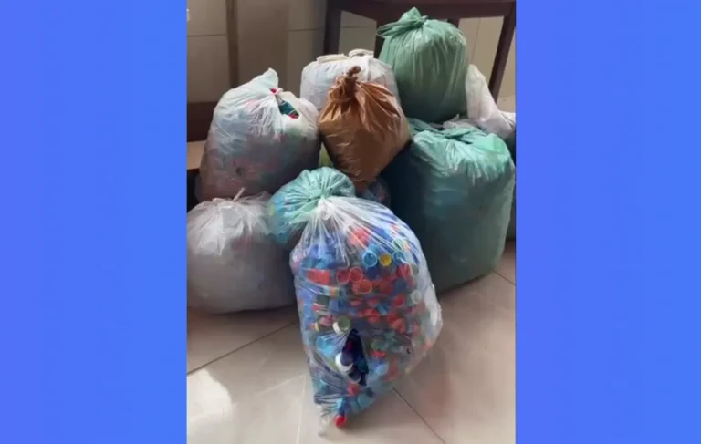 Sustentabilidade em foco!