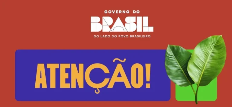 Conheça a Plataforma Juventude Solidária!